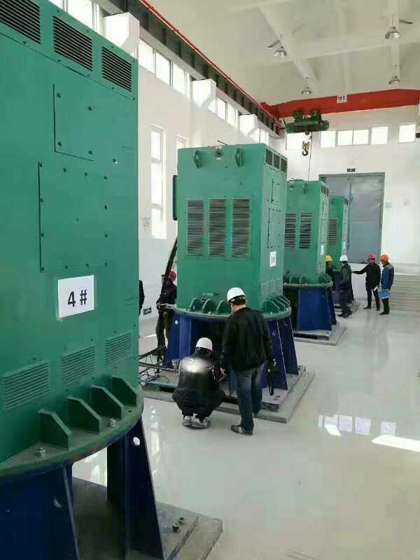 YE2-100L1-8某污水处理厂使用我厂的立式高压电机安装现场