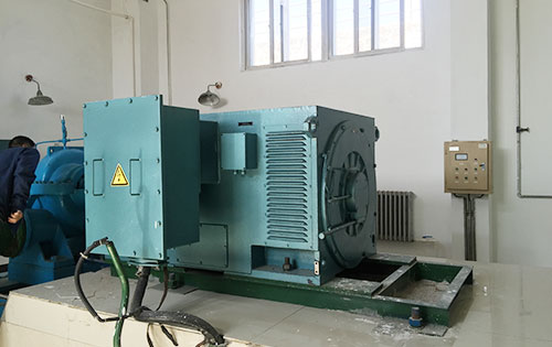 YE2-100L1-8某水电站工程主水泵使用我公司高压电机
