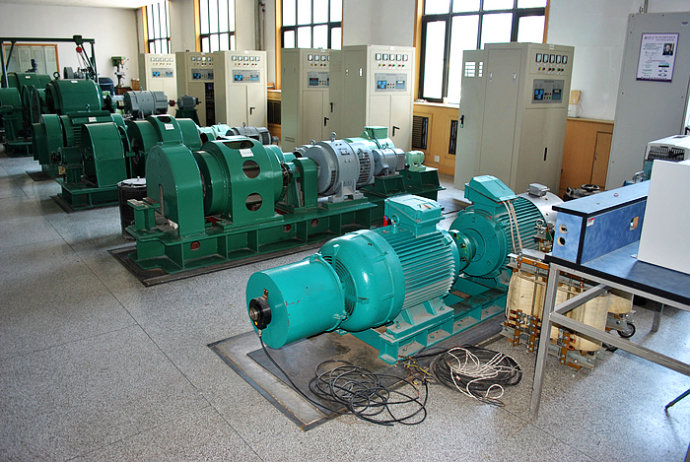 YE2-100L1-8某热电厂使用我厂的YKK高压电机提供动力
