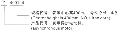 西安泰富西玛Y系列(H355-1000)高压YE2-100L1-8三相异步电机型号说明