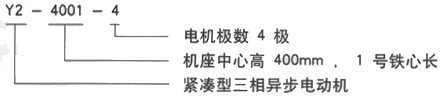 YR系列(H355-1000)高压YE2-100L1-8三相异步电机西安西玛电机型号说明